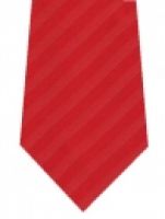 Satinstreifen einfarbig hellrot