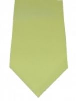 Einfarbige Krawatte, dr kiwi